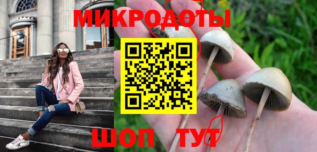 Псилоцибиновые грибы прущие грибы  Вход с VPN  Обь 
